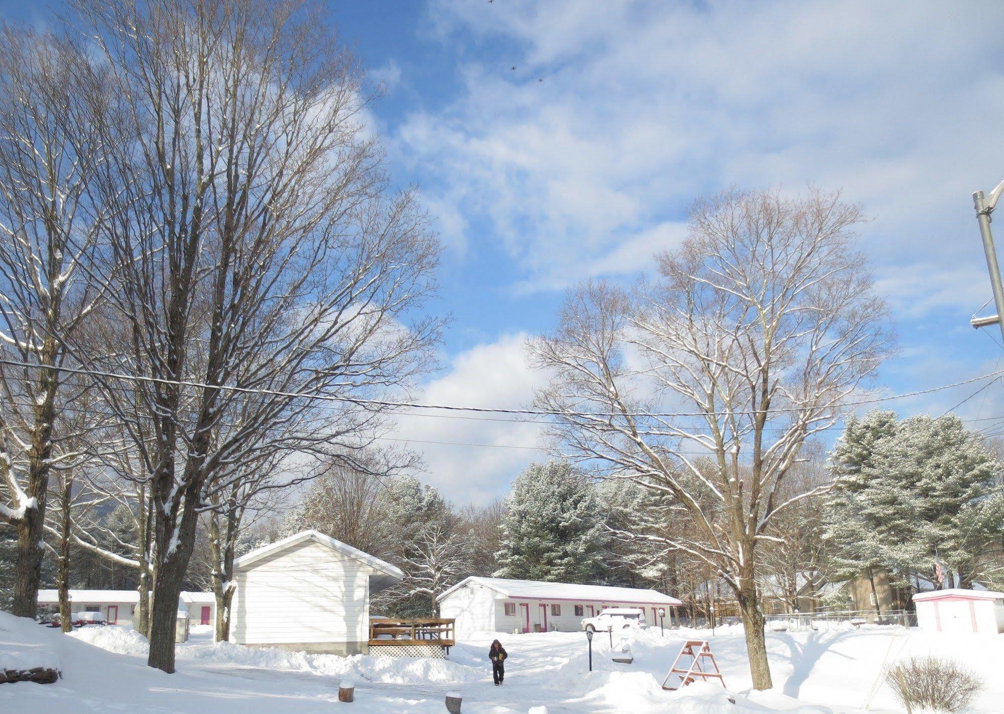 Four Seasons Motel Catskill Esterno foto